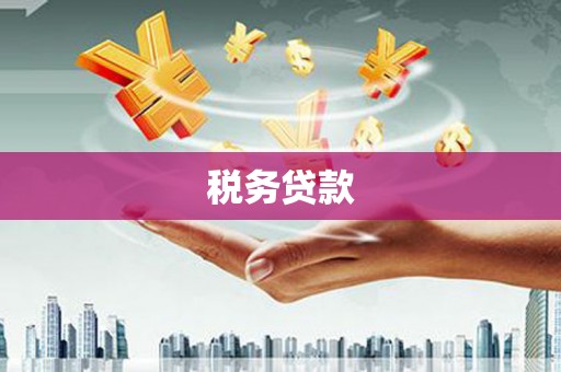 六横税务贷款