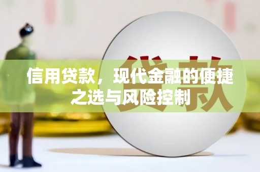 六横信用贷款，现代金融的便捷之选与风险控制