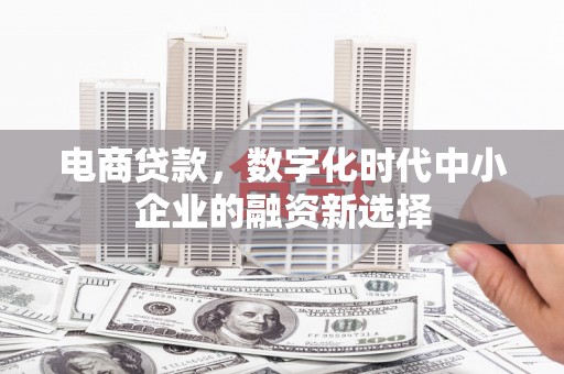 六横电商贷款，数字化时代中小企业的融资新选择