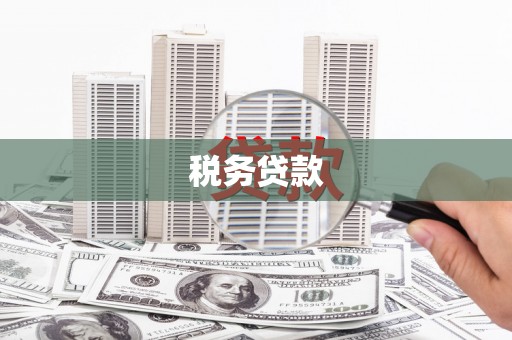 六横税务贷款