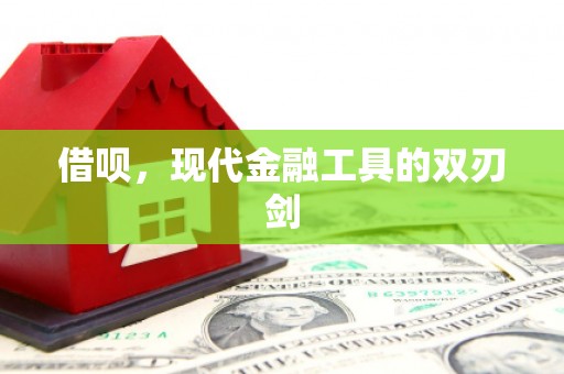六横借呗，现代金融工具的双刃剑