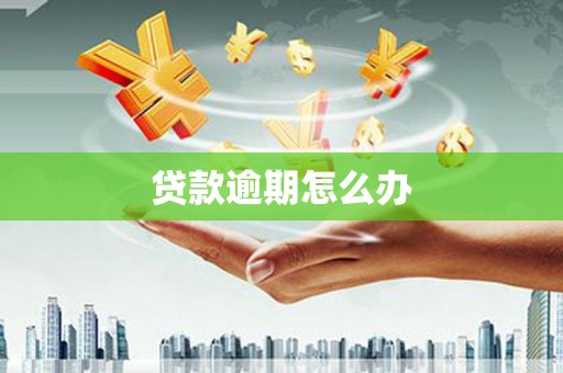 六横贷款逾期怎么办