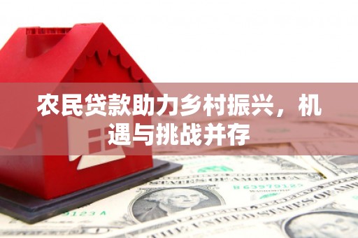 六横农民贷款助力乡村振兴，机遇与挑战并存