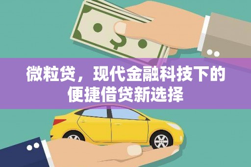 六横微粒贷，现代金融科技下的便捷借贷新选择