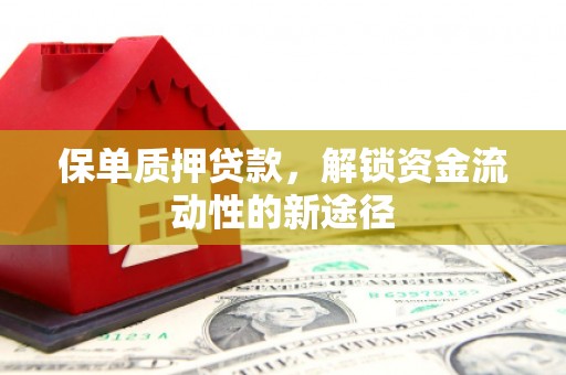 六横保单质押贷款，解锁资金流动性的新途径