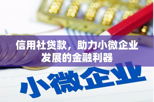 六横信用社贷款，助力小微企业发展的金融利器