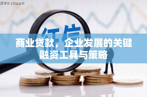 六横商业贷款，企业发展的关键融资工具与策略