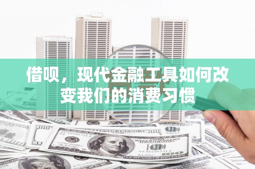 六横借呗，现代金融工具如何改变我们的消费习惯