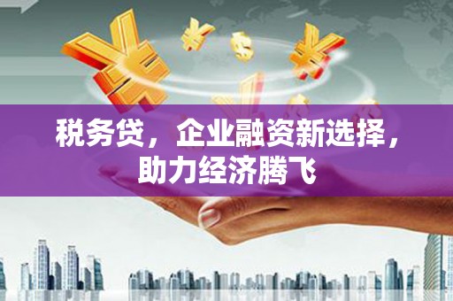 六横税务贷，企业融资新选择，助力经济腾飞