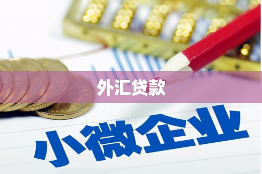 六横外汇贷款