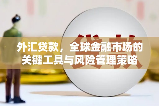 六横外汇贷款，全球金融市场的关键工具与风险管理策略