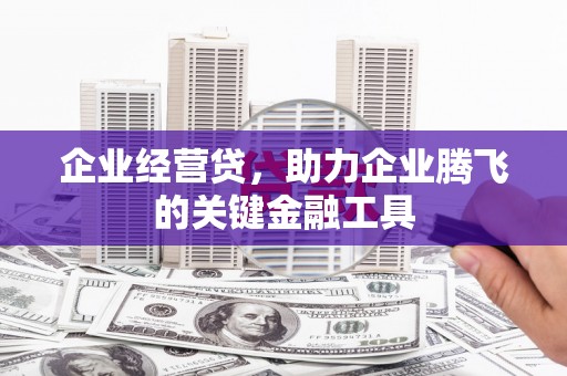 六横企业经营贷，助力企业腾飞的关键金融工具