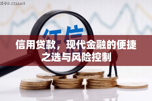 六横信用贷款，现代金融的便捷之选与风险控制