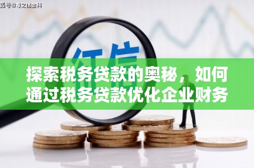 六横探索税务贷款的奥秘，如何通过税务贷款优化企业财务