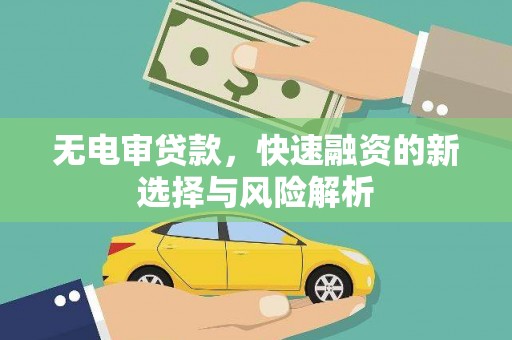 六横无电审贷款，快速融资的新选择与风险解析