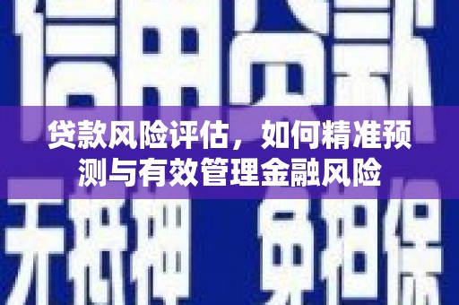 六横贷款风险评估，如何精准预测与有效管理金融风险
