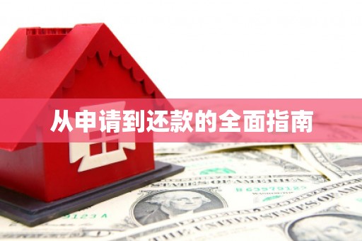 六横从申请到还款的全面指南