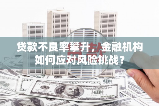 六横贷款不良率攀升，金融机构如何应对风险挑战？