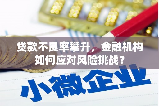 六横贷款不良率攀升，金融机构如何应对风险挑战？