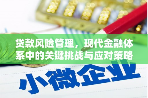 六横贷款风险管理，现代金融体系中的关键挑战与应对策略