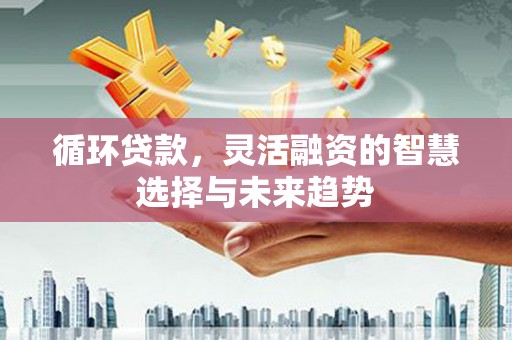 六横循环贷款，灵活融资的智慧选择与未来趋势
