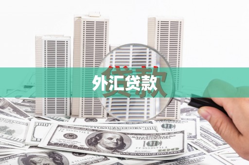 六横外汇贷款