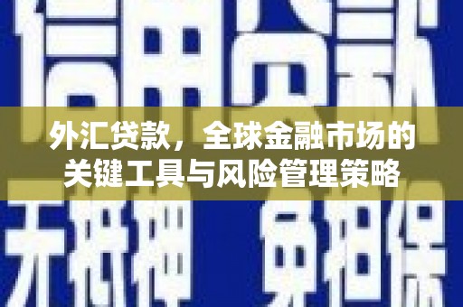 六横外汇贷款，全球金融市场的关键工具与风险管理策略