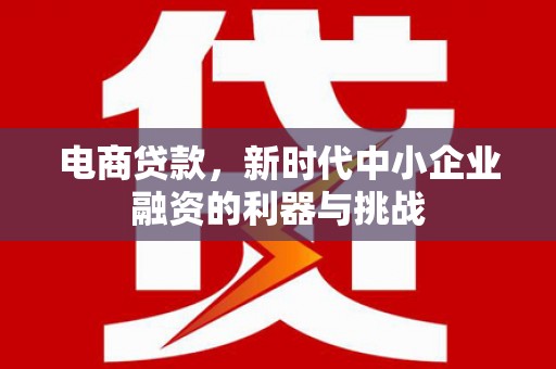 六横电商贷款，新时代中小企业融资的利器与挑战
