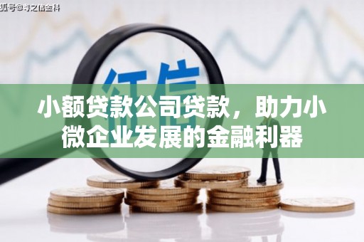六横小额贷款公司贷款，助力小微企业发展的金融利器