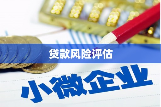六横贷款风险评估