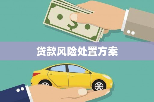 六横贷款风险处置方案