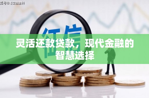 六横灵活还款贷款，现代金融的智慧选择