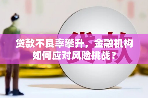 六横贷款不良率攀升，金融机构如何应对风险挑战？