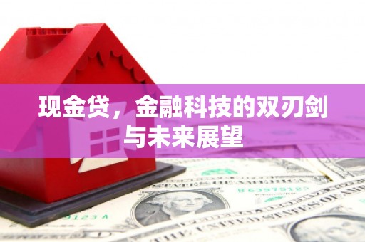 六横现金贷，金融科技的双刃剑与未来展望