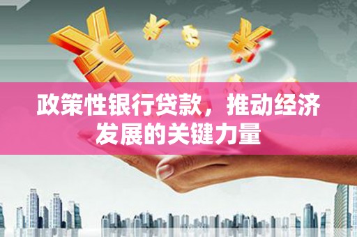 六横政策性银行贷款，推动经济发展的关键力量