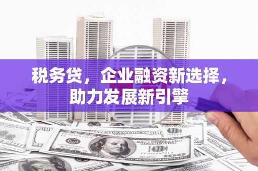 六横税务贷，企业融资新选择，助力发展新引擎