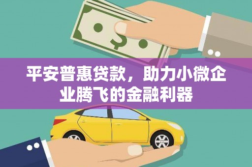 六横平安普惠贷款，助力小微企业腾飞的金融利器