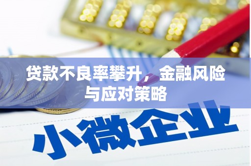 六横贷款不良率攀升，金融风险与应对策略