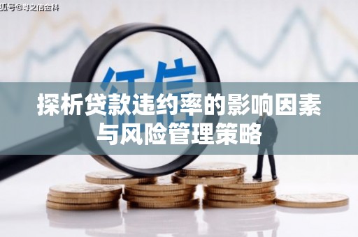 六横探析贷款违约率的影响因素与风险管理策略