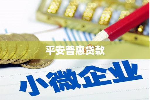 六横平安普惠贷款