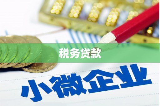 六横税务贷款