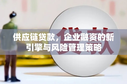 六横供应链贷款，企业融资的新引擎与风险管理策略
