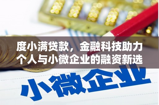 六横度小满贷款，金融科技助力个人与小微企业的融资新选择