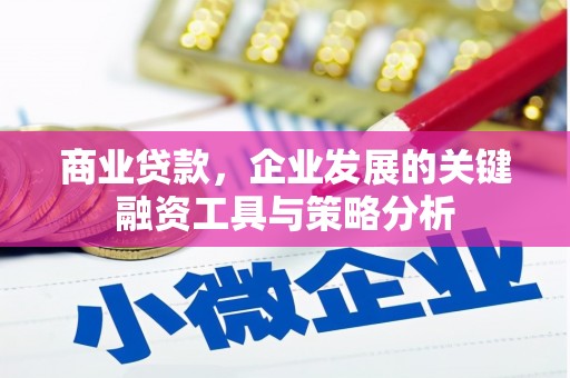 六横商业贷款，企业发展的关键融资工具与策略分析