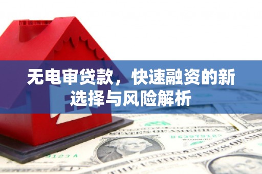 六横无电审贷款，快速融资的新选择与风险解析