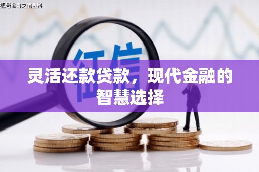 六横灵活还款贷款，现代金融的智慧选择