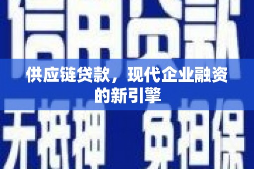 六横供应链贷款，现代企业融资的新引擎