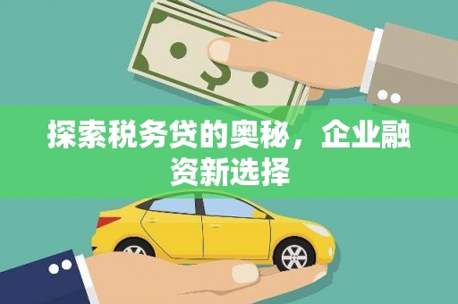 六横探索税务贷的奥秘，企业融资新选择