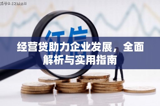 六横经营贷助力企业发展，全面解析与实用指南