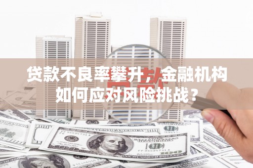 六横贷款不良率攀升，金融机构如何应对风险挑战？